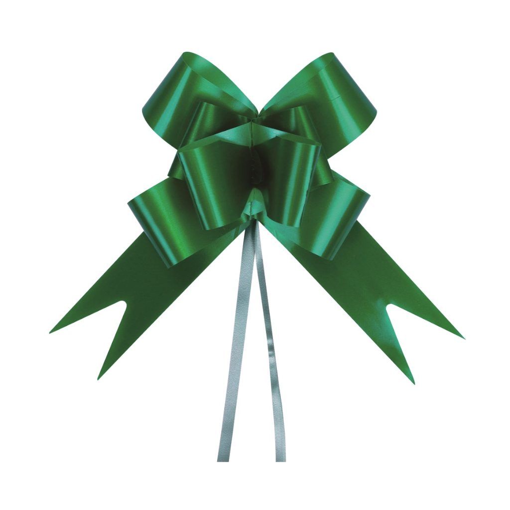 Funda cadou verde, 70x4.5 cm, 10 buc