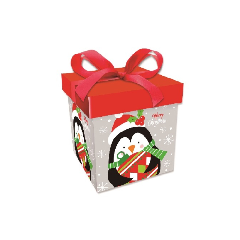 Cutie cadou multicolor, 22x22x22 cm, diverse modele, Craciun